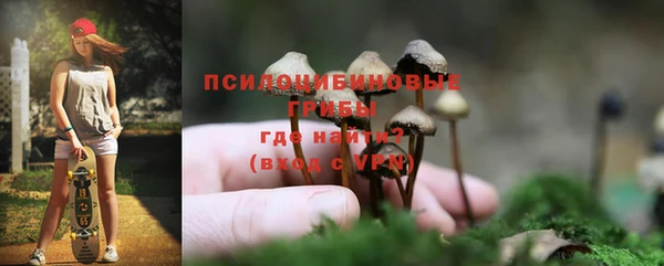 прущие крисы Костерёво