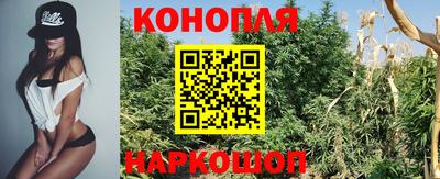 PSILOCYBIN Кинель